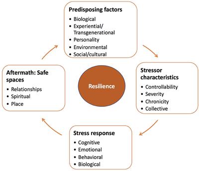 Resilience: Safety in the Aftermath of Traumatic Stressor Experiences